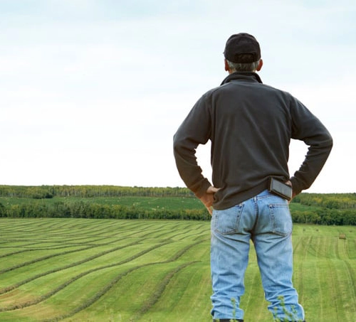 Man Standing In A Field